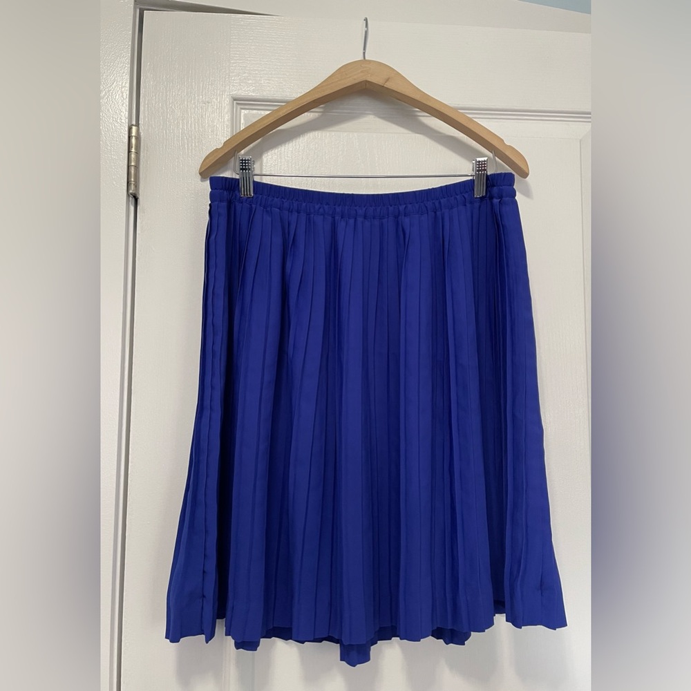 Banana Republic Blue Pleated Skirt - Picture 1 of 5